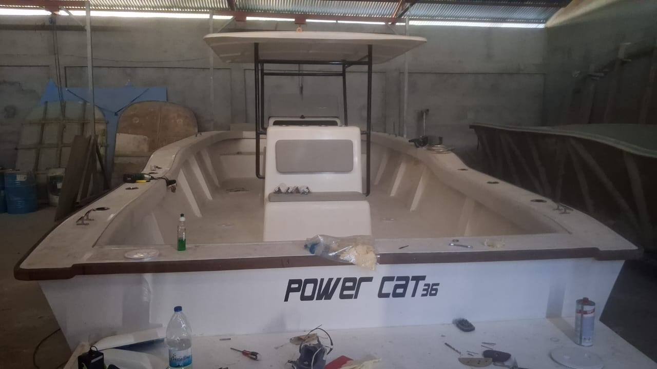 Power Cat 36